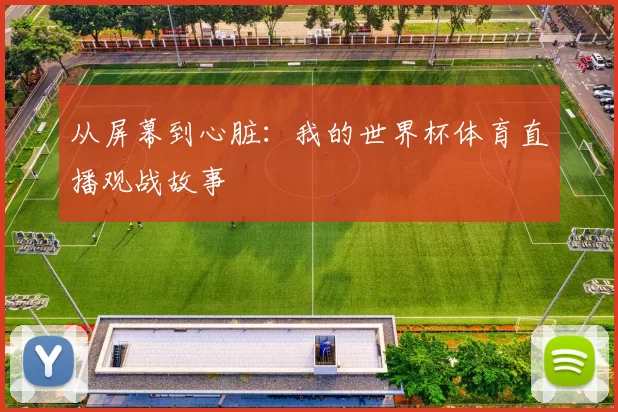 从屏幕到心脏：我的世界杯体育直播观战故事