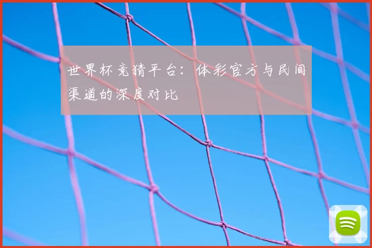 世界杯竞猜平台：体彩官方与民间渠道的深度对比