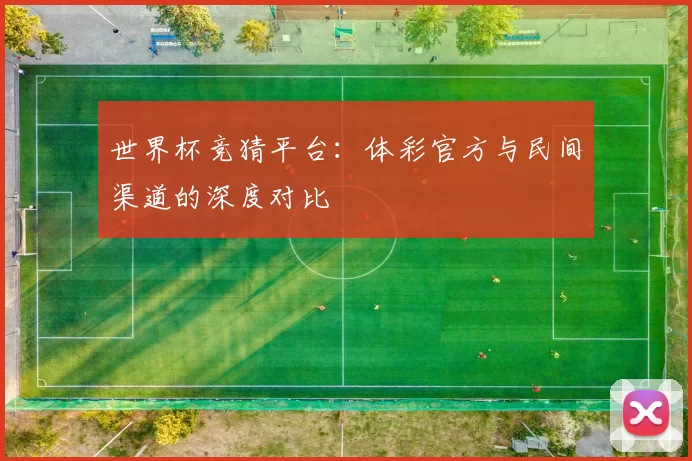 世界杯竞猜平台：体彩官方与民间渠道的深度对比
