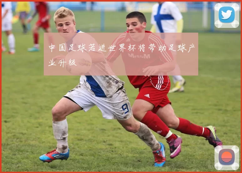 中国足球若进世界杯将带动足球产业升级