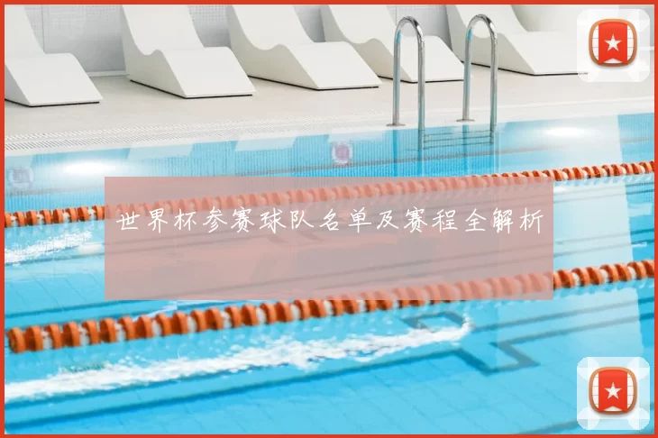 世界杯参赛球队名单及赛程全解析