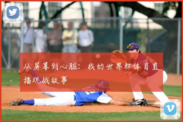 从屏幕到心脏：我的世界杯体育直播观战故事