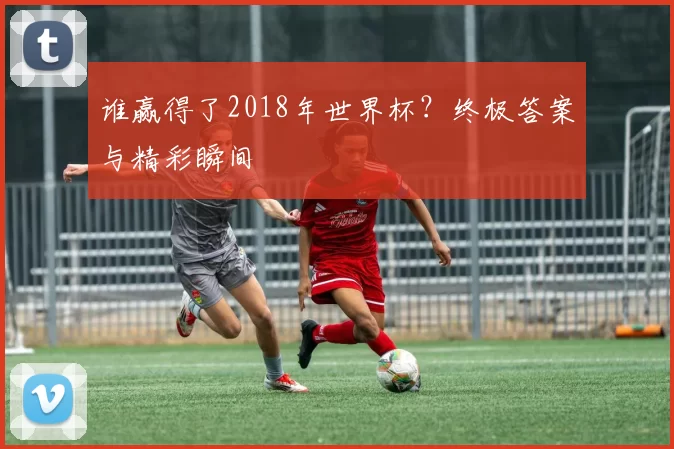 谁赢得了2018年世界杯？终极答案与精彩瞬间