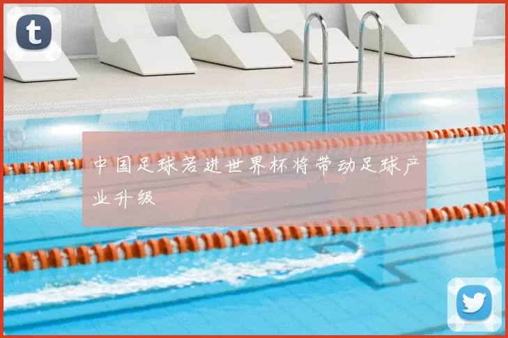 中国足球若进世界杯将带动足球产业升级