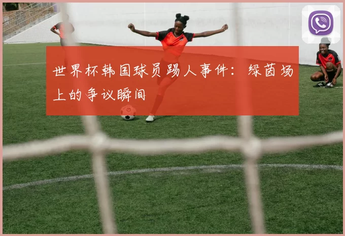 世界杯韩国球员踢人事件:绿茵场上的争议瞬间