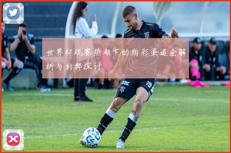 世界杯观赛热潮下的购彩渠道全解析与利弊探讨