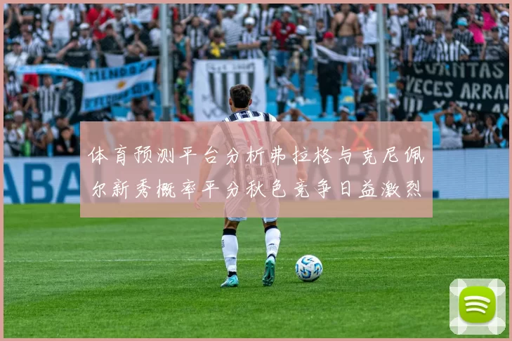 体育预测平台分析弗拉格与克尼佩尔新秀概率平分秋色竞争日益激烈